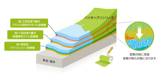 バイオハクリの塗膜への浸透イメージ図